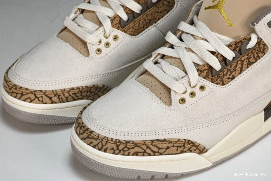 Retro Jordan  CT8532-102 CT8532-102 Palomino  3 0401